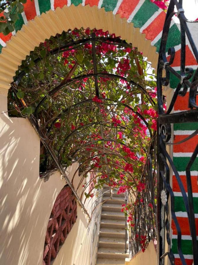 Nubian Dreams Guest House Асуан Экстерьер фото